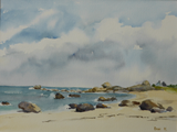 283 (23x31)