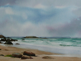 537 (20x50)