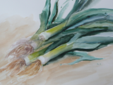 751 (35x50)