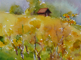 541 (26x18)