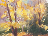 372 (41x31)
