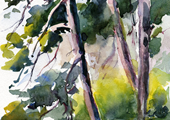 616 (24x17)
