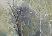 1055 (26x18)