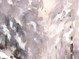 843 (31x23)