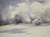 754 (23x31)